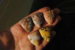 Ocean Jasper 27x21mm shield cabochons