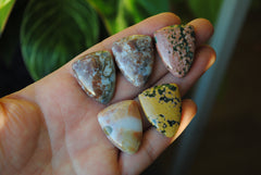 Ocean Jasper 27x21mm shield cabochons