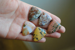 Ocean Jasper 27x21mm shield cabochons