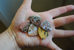 Ocean Jasper 27x21mm shield cabochons