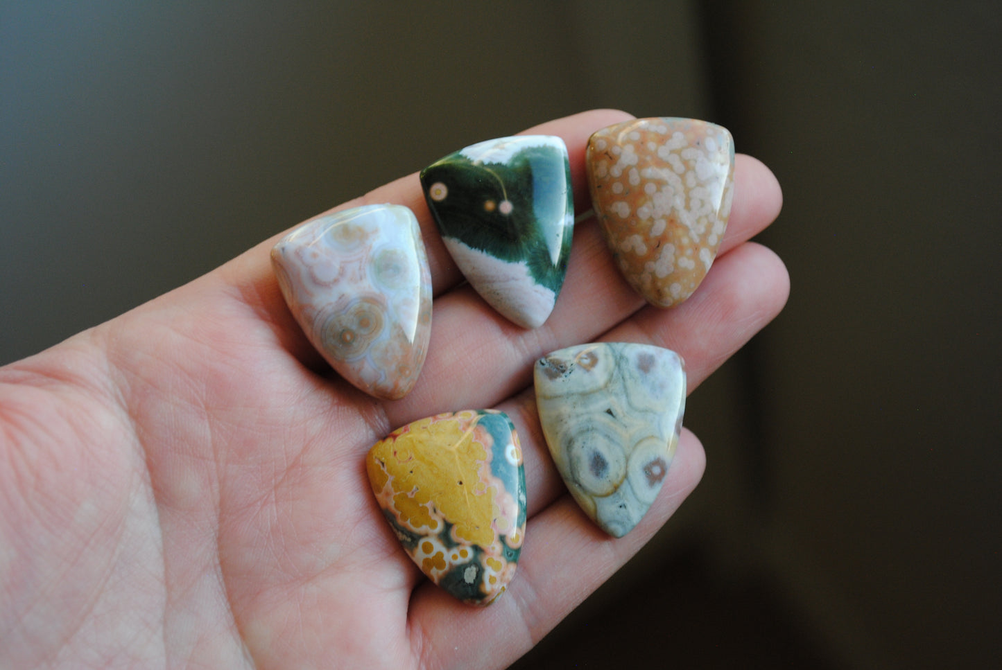 Ocean Jasper 27x21mm shield cabochons