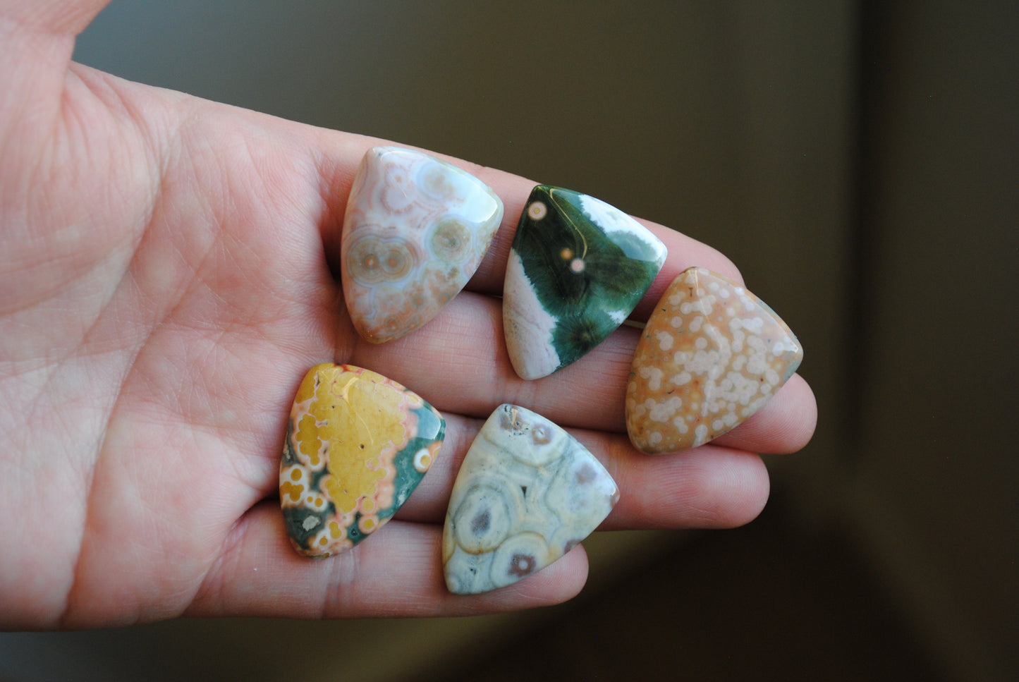 Ocean Jasper 27x21mm shield cabochons