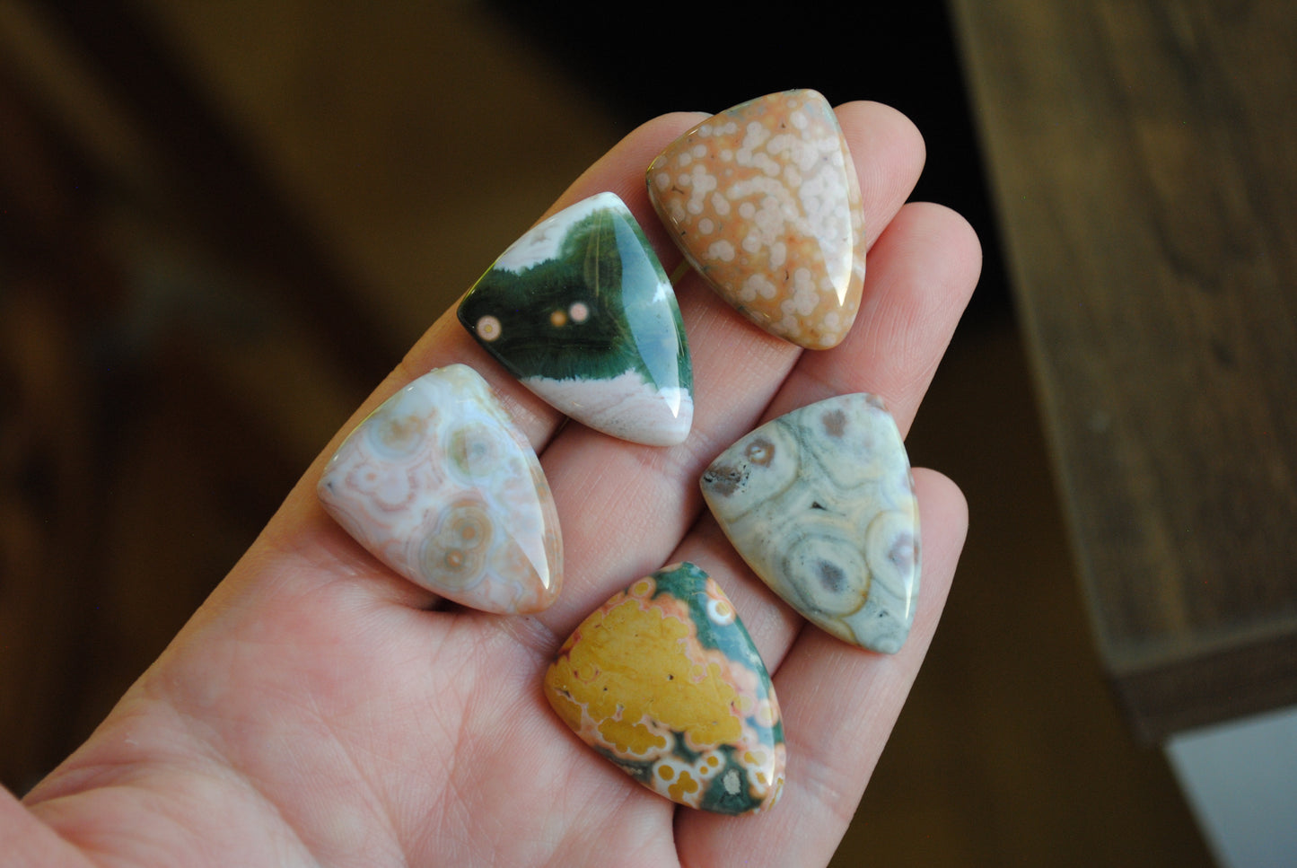 Ocean Jasper 27x21mm shield cabochons