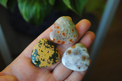 30mm trillion Ocean Jasper cabochons (Lot aa)