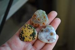 30mm trillion Ocean Jasper cabochons (Lot aa)