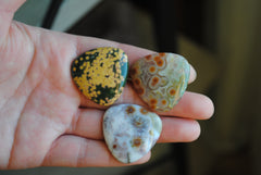 30mm trillion Ocean Jasper cabochons (Lot aa)
