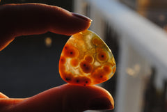30mm trillion Ocean Jasper cabochons (Lot aa)