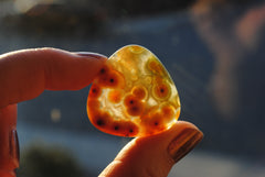 30mm trillion Ocean Jasper cabochons (Lot aa)