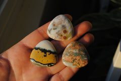 30mm trillion Ocean Jasper cabochons (Lot bb)