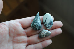 Mixed stones cabochons