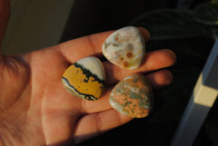 30mm trillion Ocean Jasper cabochons (Lot bb)