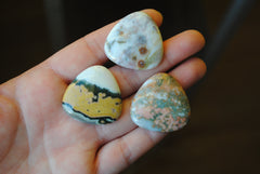 30mm trillion Ocean Jasper cabochons (Lot bb)