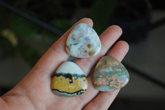 30mm trillion Ocean Jasper cabochons (Lot bb)