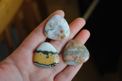 30mm trillion Ocean Jasper cabochons (Lot bb)