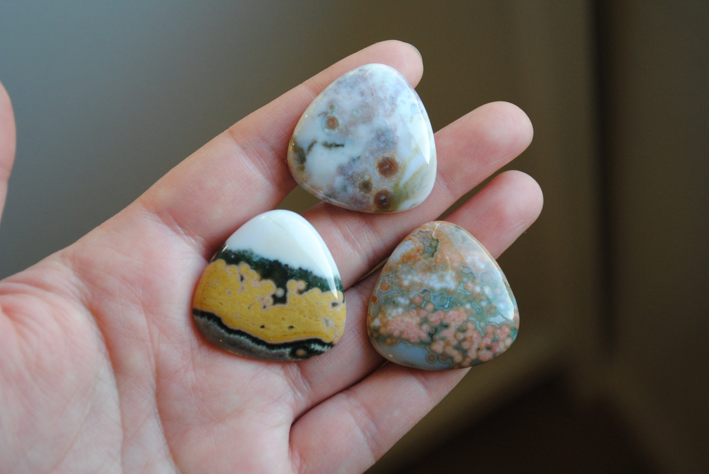 30mm trillion Ocean Jasper cabochons (Lot bb)