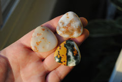 30mm trillion Ocean Jasper cabochons (Lot cc)