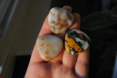 30mm trillion Ocean Jasper cabochons (Lot cc)