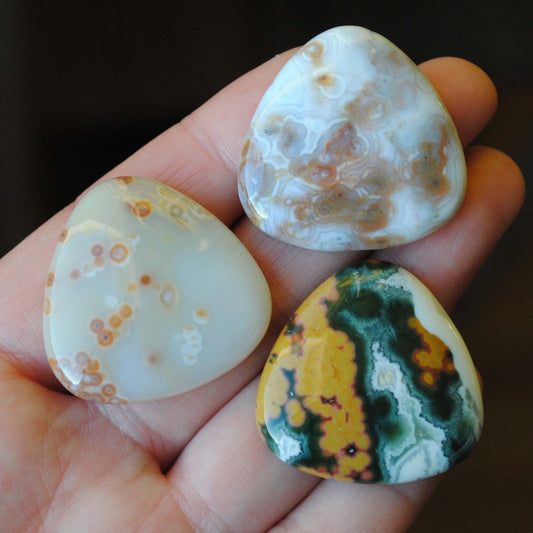 30mm trillion Ocean Jasper cabochons (Lot cc)