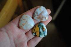 30mm trillion Ocean Jasper cabochons (Lot cc)