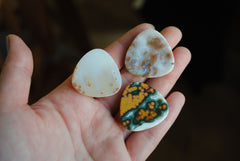 30mm trillion Ocean Jasper cabochons (Lot cc)