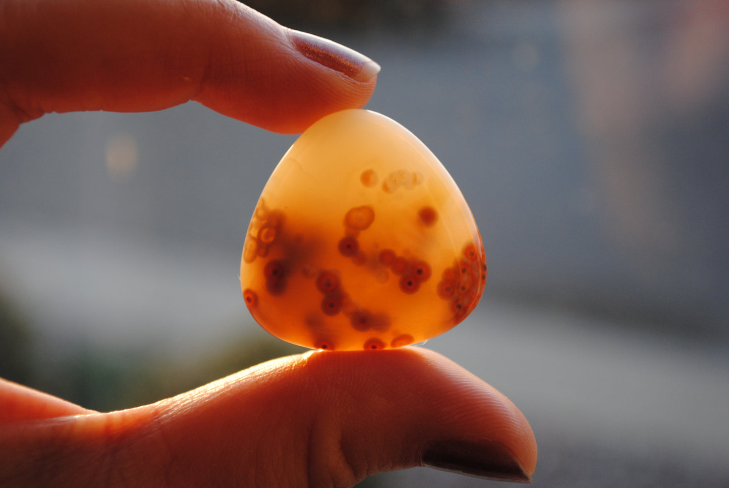 30mm trillion Ocean Jasper cabochons (Lot cc)
