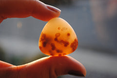 30mm trillion Ocean Jasper cabochons (Lot cc)