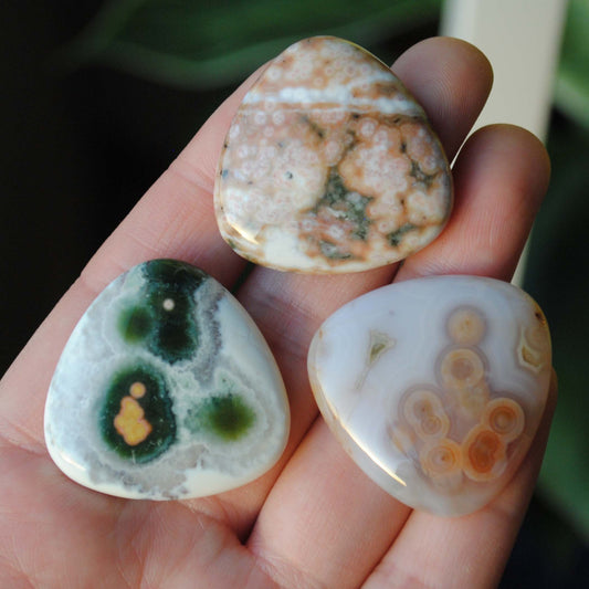 30mm trillion Ocean Jasper cabochons (Lot dd)
