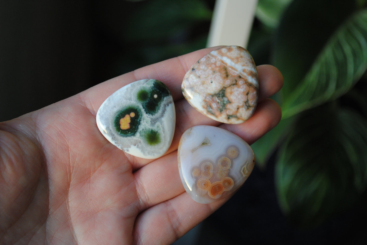 30mm trillion Ocean Jasper cabochons (Lot dd)