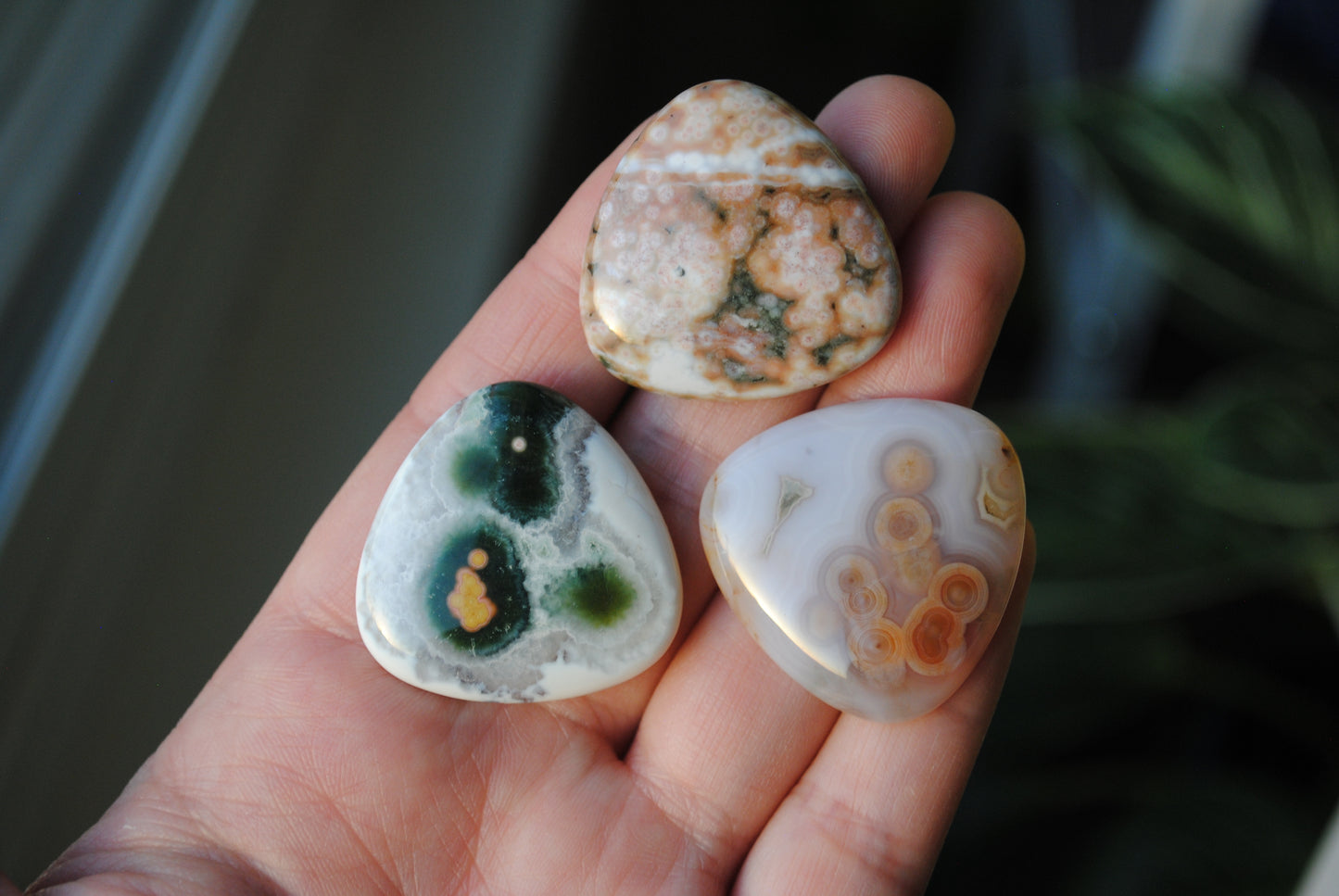 30mm trillion Ocean Jasper cabochons (Lot dd)