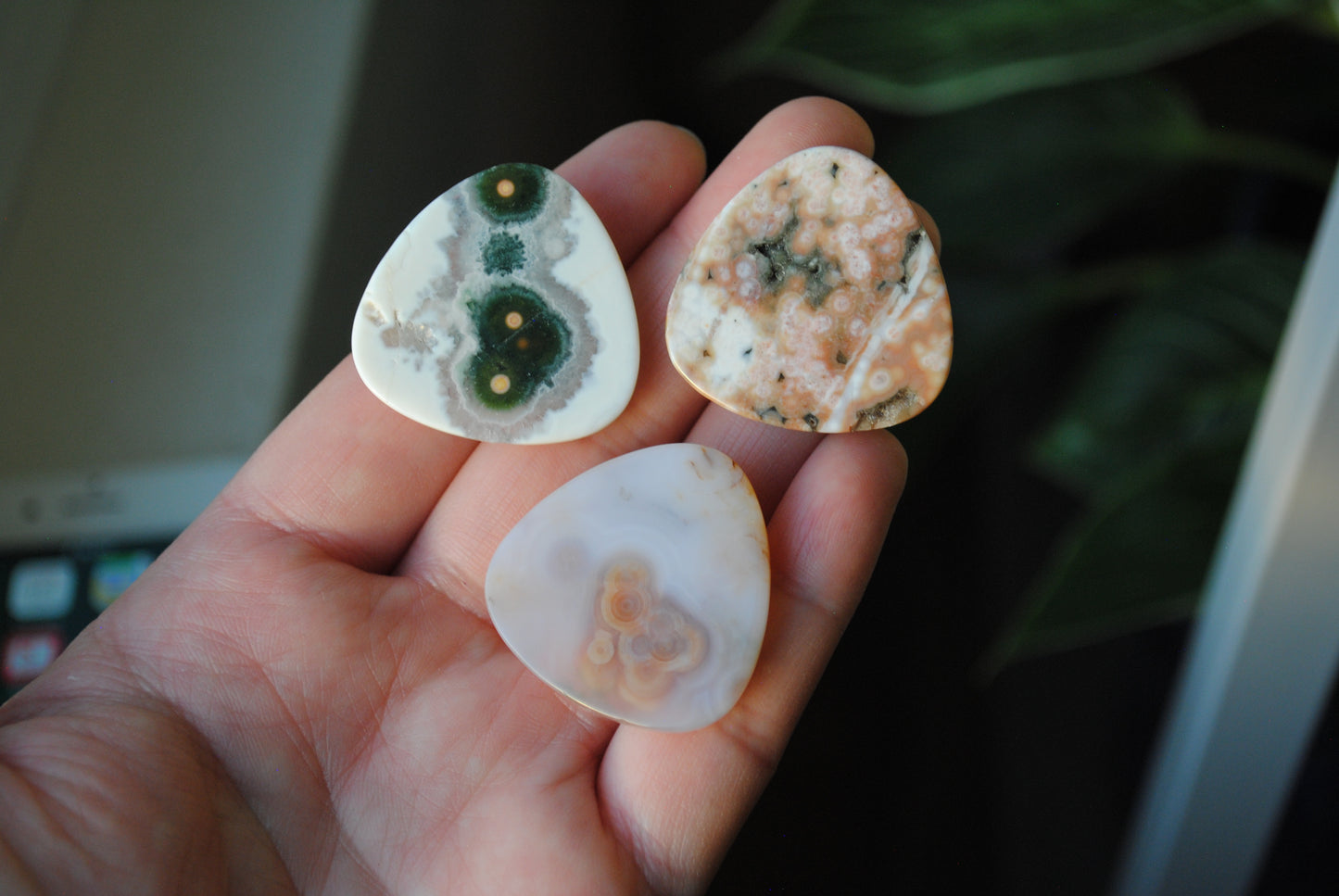 30mm trillion Ocean Jasper cabochons (Lot dd)