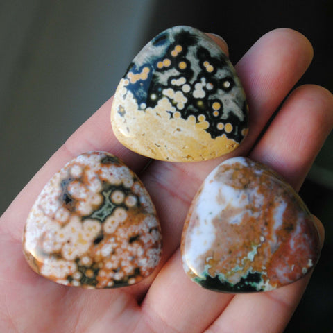 30mm trillion Ocean Jasper cabochons (Lot ee)