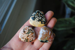 30mm trillion Ocean Jasper cabochons (Lot ee)