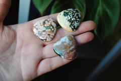 30mm trillion Ocean Jasper cabochons (Lot ee)