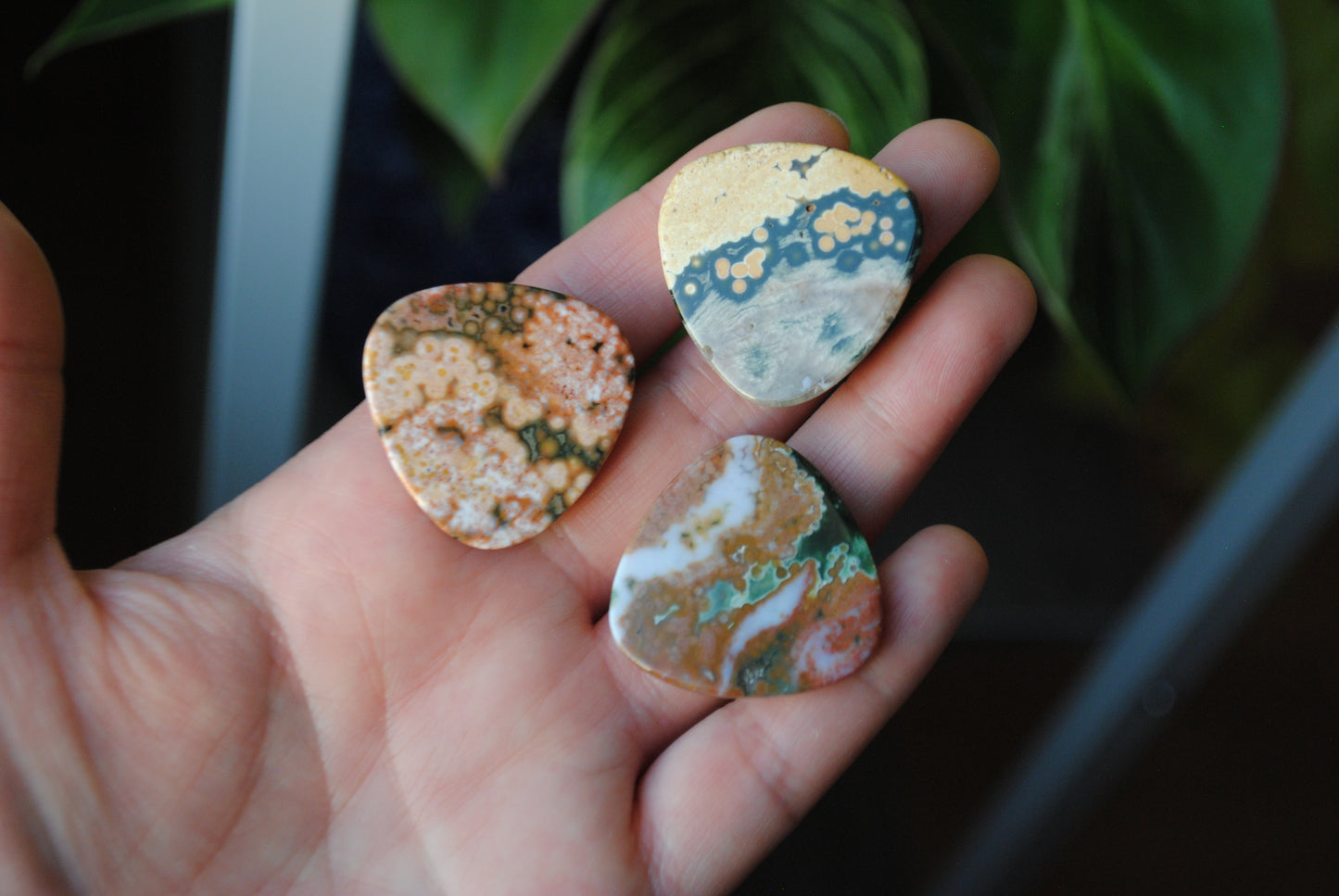 30mm trillion Ocean Jasper cabochons (Lot ee)