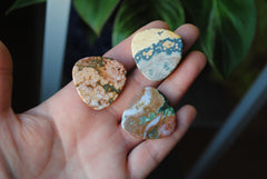 30mm trillion Ocean Jasper cabochons (Lot ee)