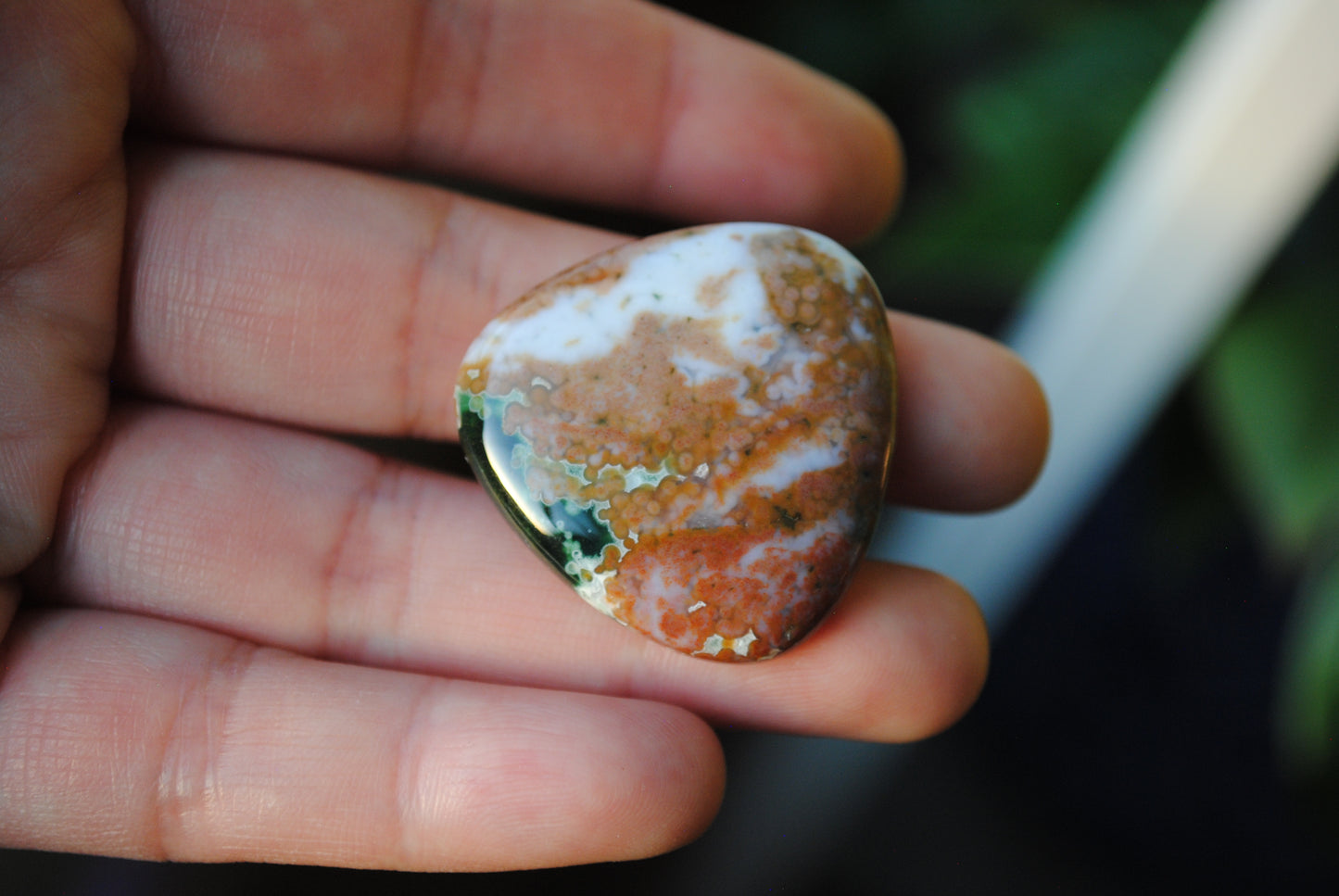 30mm trillion Ocean Jasper cabochons (Lot ee)