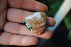 30mm trillion Ocean Jasper cabochons (Lot ee)