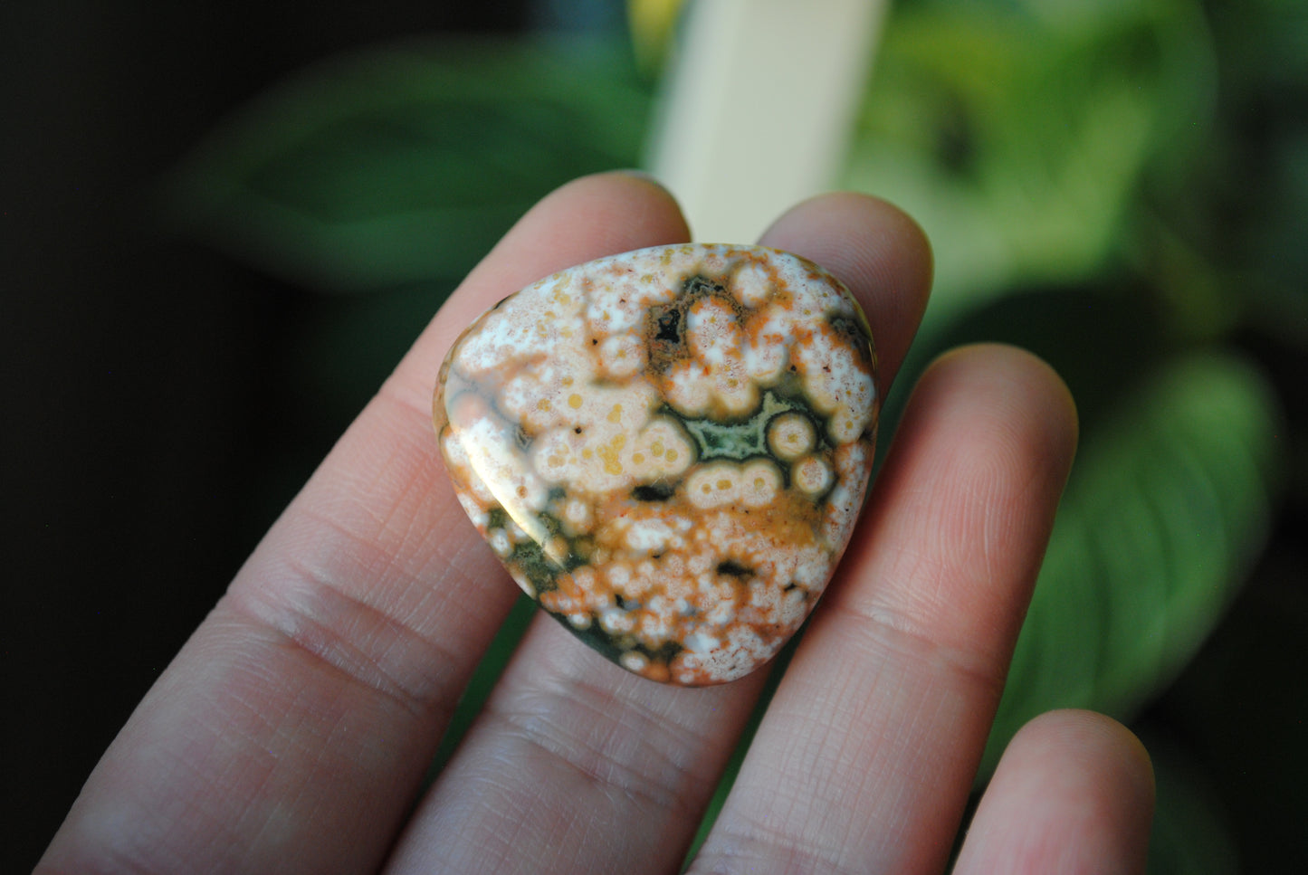30mm trillion Ocean Jasper cabochons (Lot ee)