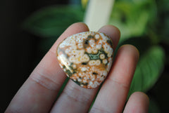 30mm trillion Ocean Jasper cabochons (Lot ee)