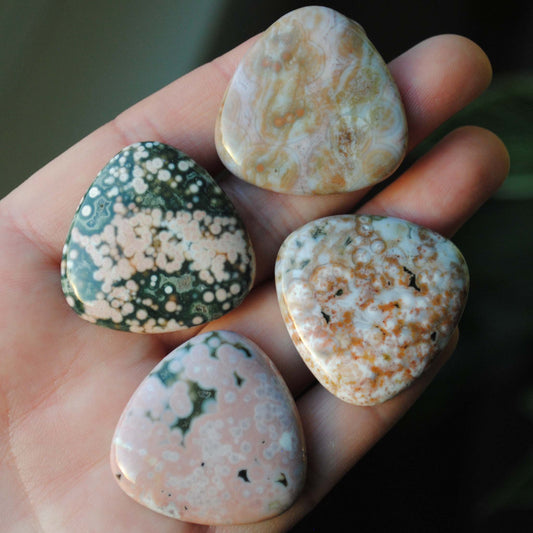 30mm trillion Ocean Jasper cabochons (Lot ff)