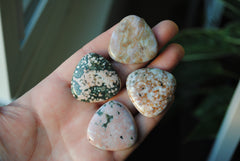 30mm trillion Ocean Jasper cabochons (Lot ff)