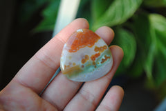 35mm trillion Ocean Jasper cabochon