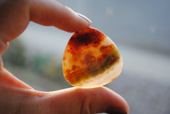 35mm trillion Ocean Jasper cabochon