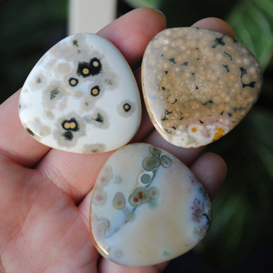 35mm trillion Ocean Jasper cabochons (Lot aaa)