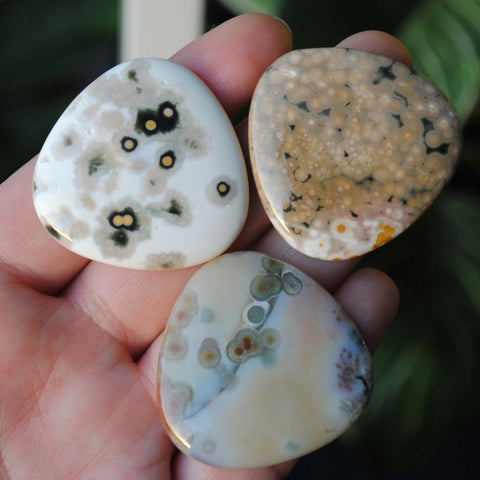 35mm trillion Ocean Jasper cabochons (Lot aaa)