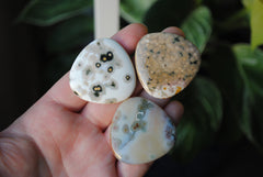 35mm trillion Ocean Jasper cabochons (Lot aaa)