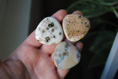 35mm trillion Ocean Jasper cabochons (Lot aaa)