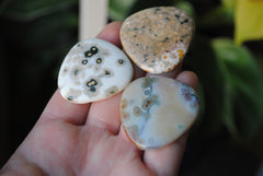 35mm trillion Ocean Jasper cabochons (Lot aaa)