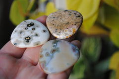 35mm trillion Ocean Jasper cabochons (Lot aaa)