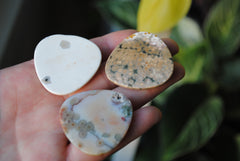 35mm trillion Ocean Jasper cabochons (Lot aaa)